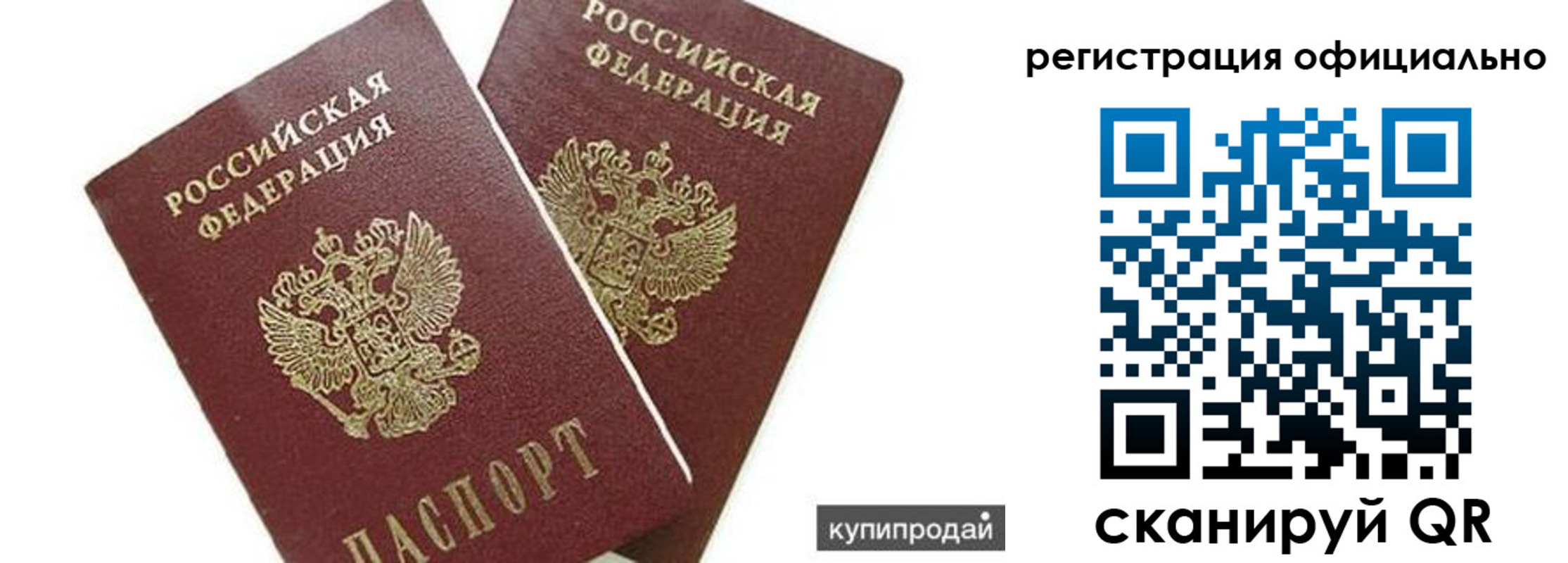 прописка гарантия в Вольске
